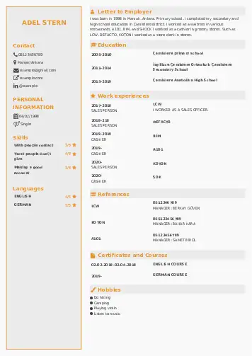 Self Employed resume example